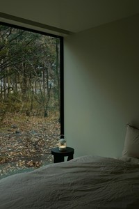 LS_W (4).jpg