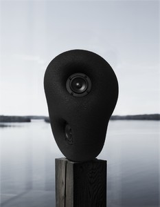 AS-B (1).jpg
